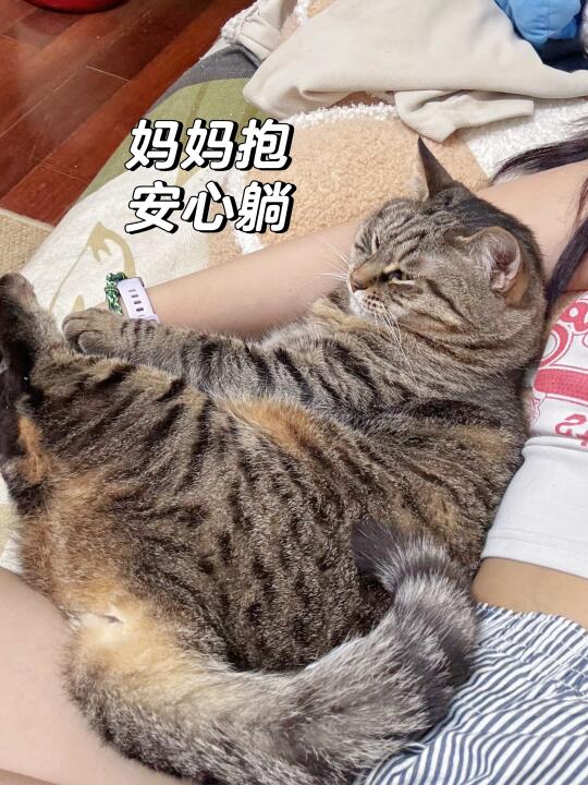 麻麻抱vs粑粑抱！孩子面相都变了