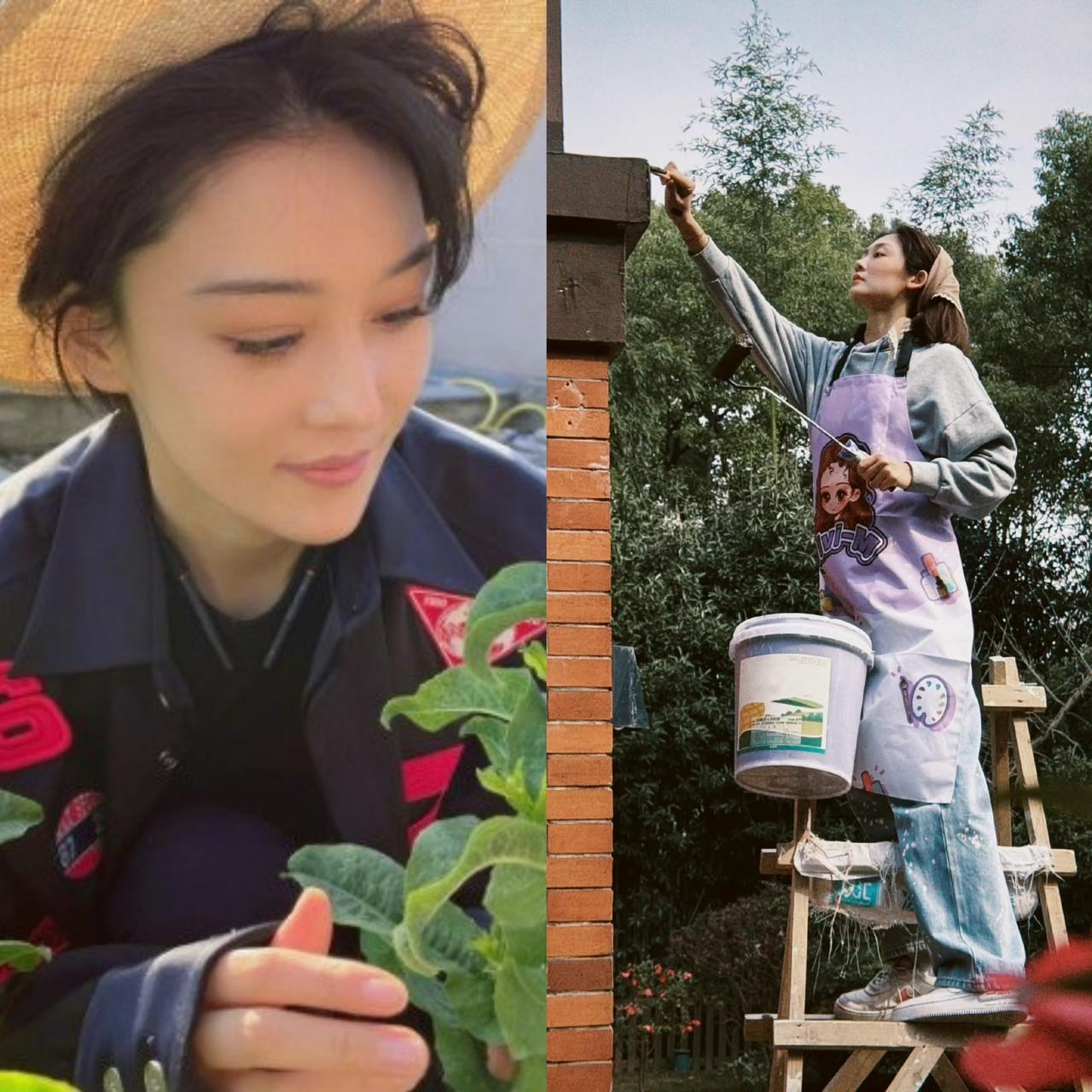 张馨予苗苗痴迷种菜，

真的只是解压消遣吗？

不少女明星都喜欢田园生活，张馨予
