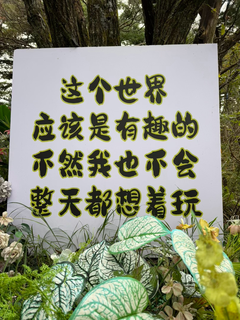 这个世界，应该是有趣的，不然我也不会整天都想着玩生活碎碎念 ​​​