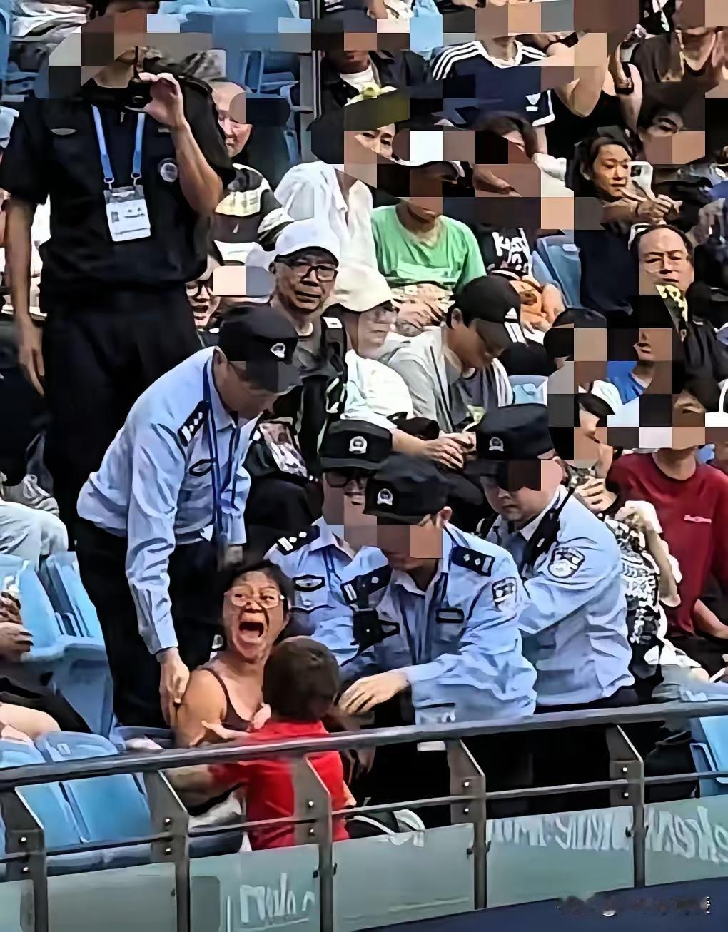 关于丑态百出的网球姐，说几点：

1、她根本也不是球迷，真正的球迷绝不会是这个球