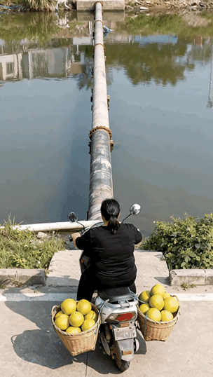 厉害了我的姐，一般人做不到啊！