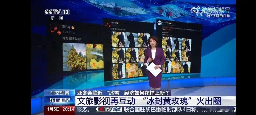 刘亦菲被央视点名了。原来是央视报道了【刘亦菲黄玫瑰】带来的文旅效应，着重提到了刘
