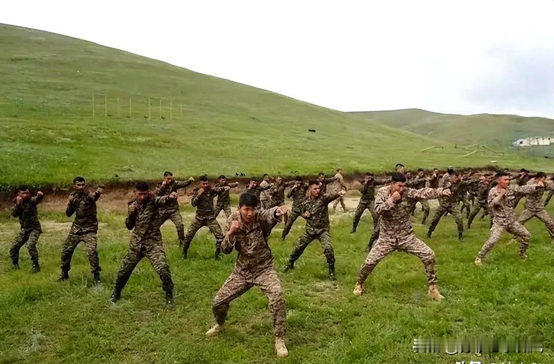 今天，忽然看到印度和蒙古国在蒙古国乌兰巴托联合军演的消息感到非常惊奇。

我们注