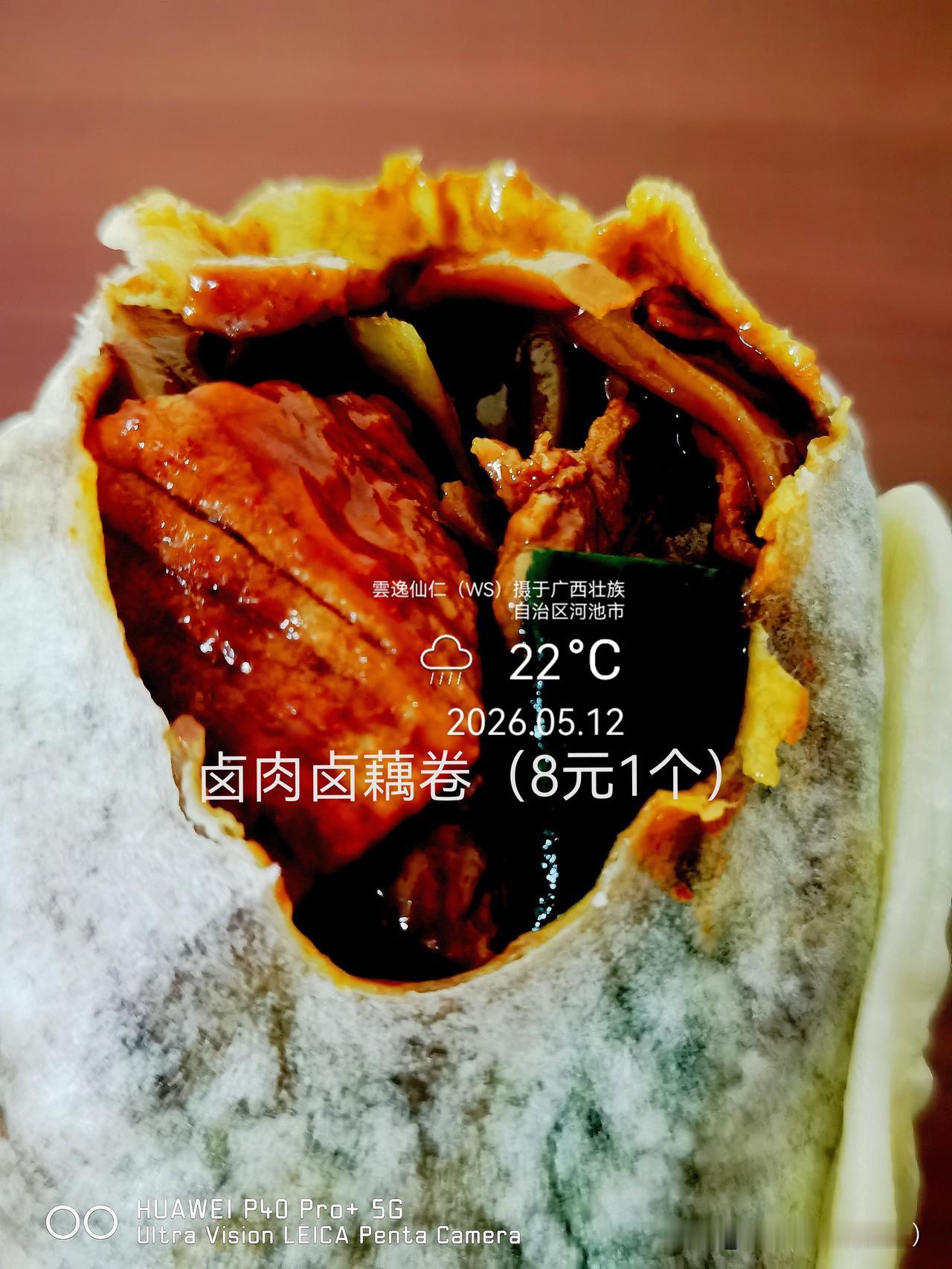 月居生活记录（9732）广西壮族自治区河池市（159）品尝小吃59：卤肉卤藕卷（