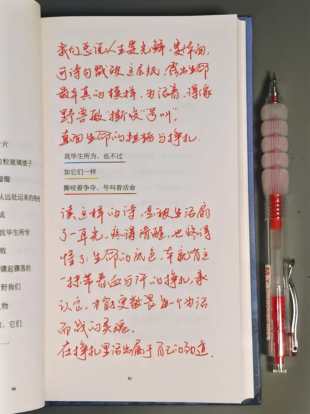 这是近十年我读过最好的诗集！没有之一！