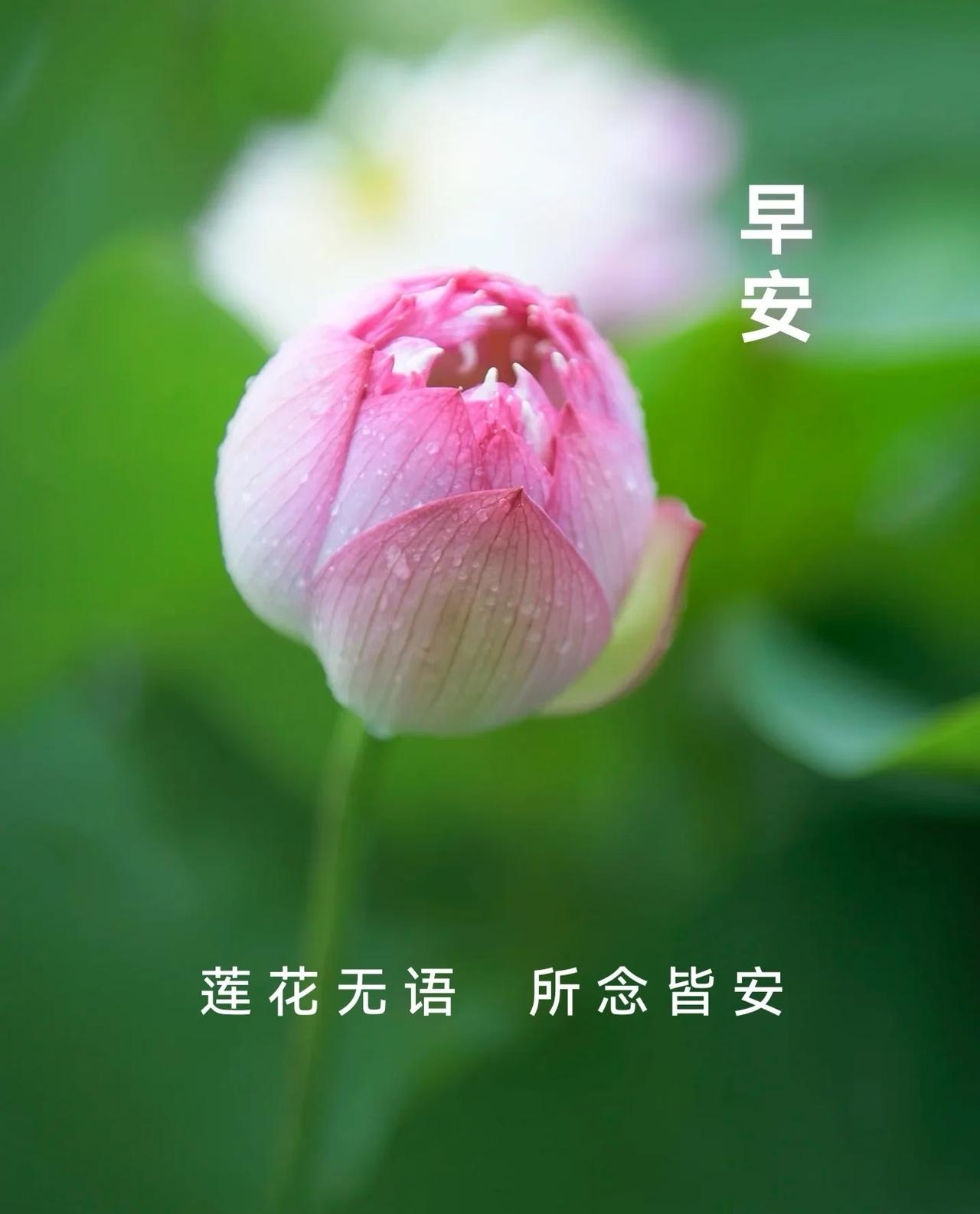 ☀️
美好的一天开始啦！

每一个清晨，都是生活的起航
愿生活，充满阳光！
愿身