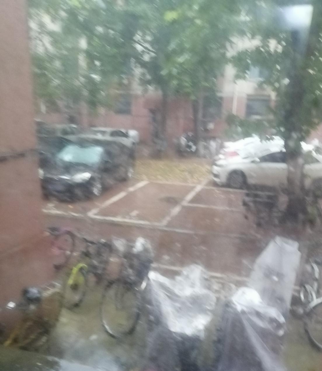 石家庄的降雨降温还是来了。早晨起来是细密的小雨。天空阴沉。没有风，雨只打湿了地皮