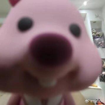 刚刚午睡醒今天A股绿但手上基本全红....(群里发图)我无话可说了当我想防守对冲