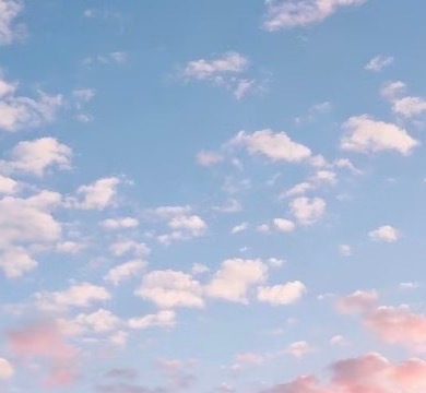 白鹿  在我们追求梦想的道路上，总会遇到各种各样的困难和挫折，但只要我们心怀信念