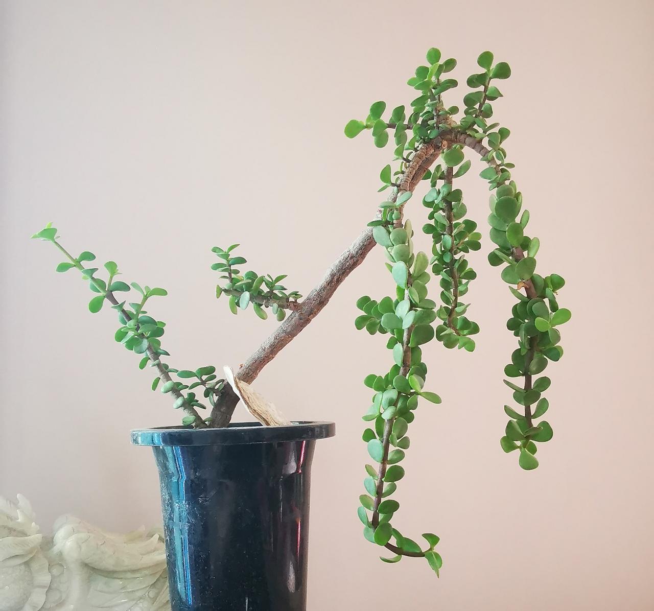 没把运气当底气。

这次的假冒伪劣到底对身体有没有危害还不得而知。
但即使对身体