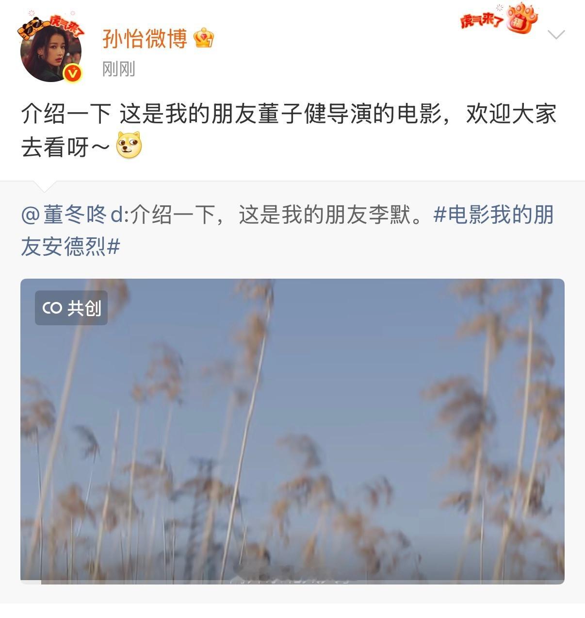 娱乐孙怡的体面孙怡是体面人 孙怡是体面人，转发董子健电影 