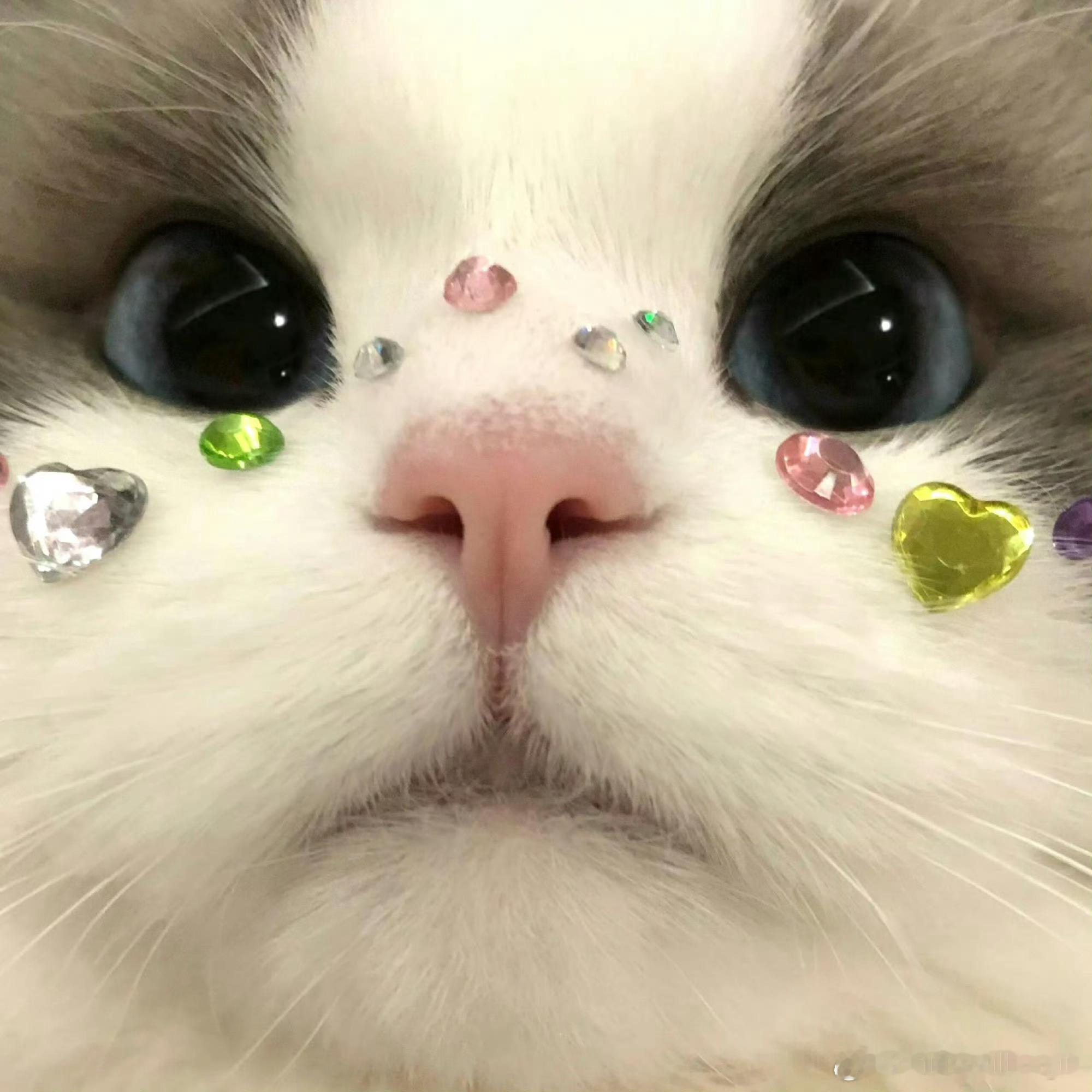 听我的就这样贴在脸上 然后拍给我看 ​​​