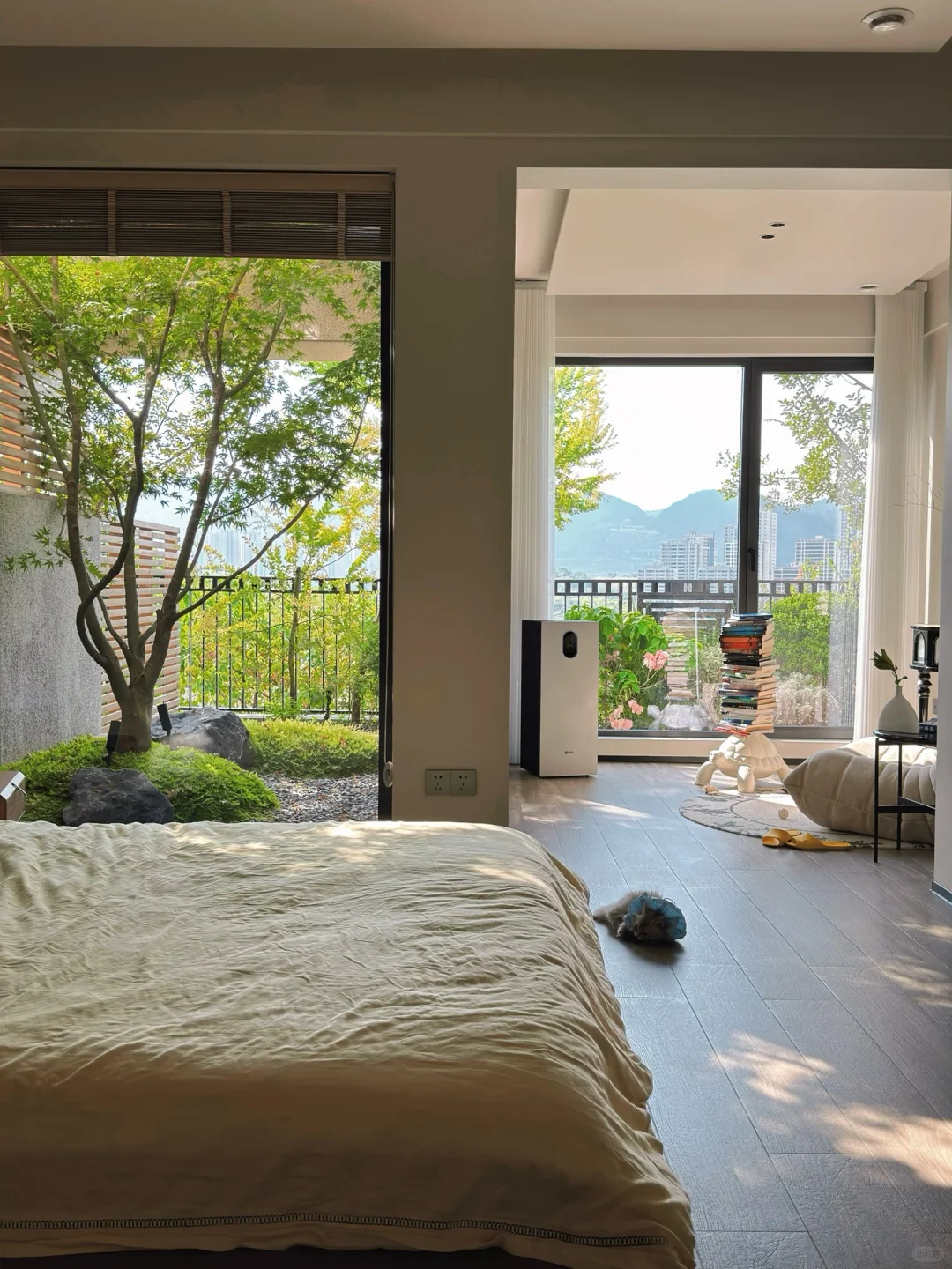 舍弃一个房间换来的这棵树真香🌳