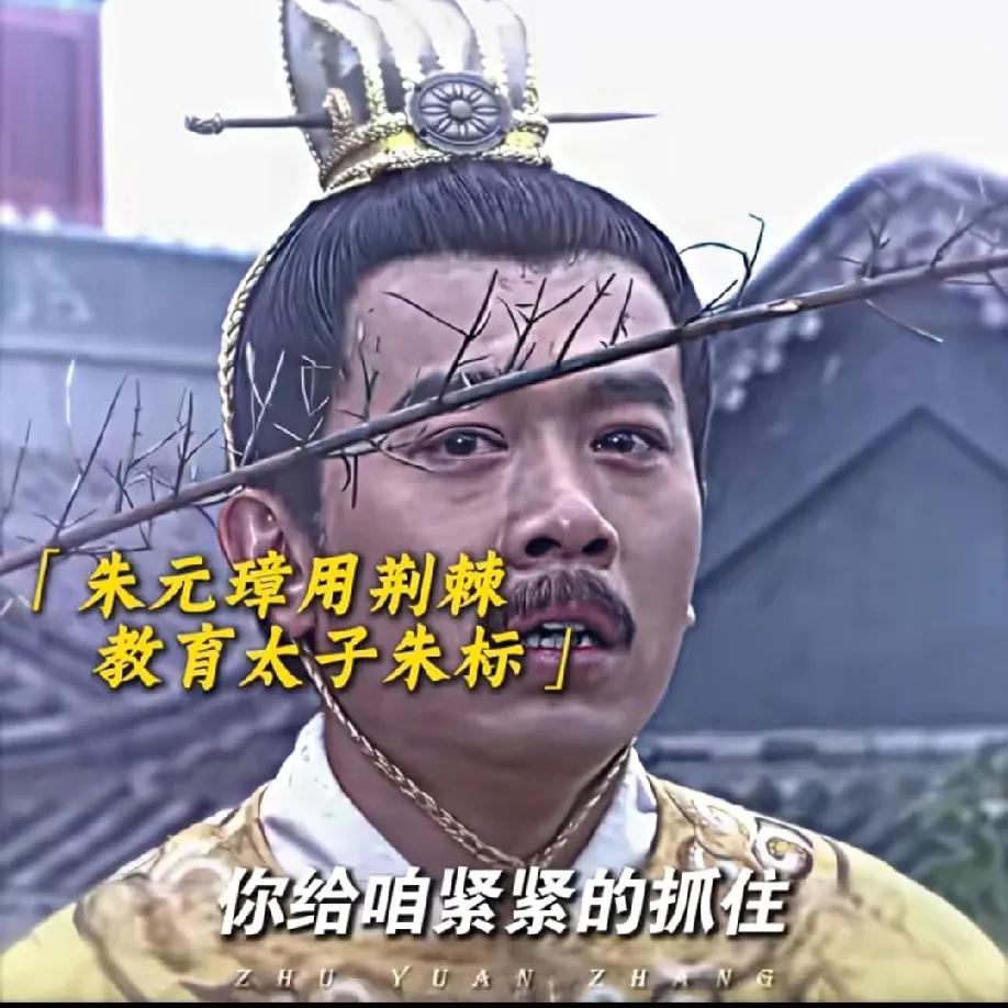 朱元璋曾以带刺荆棘警示太子朱标：“汝弗能执欤？使我运琢以遗汝，岂不美哉？”看似是