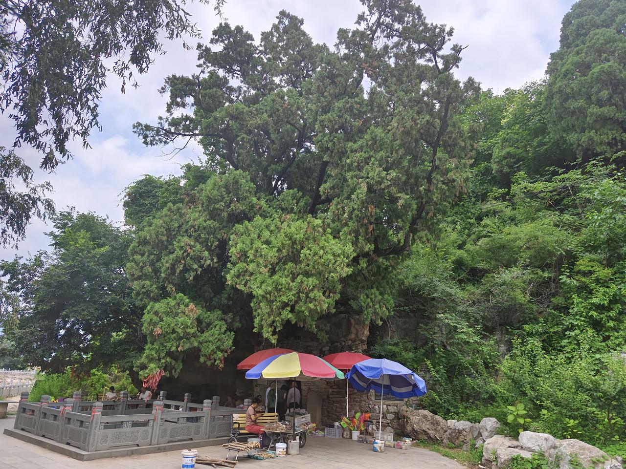 游七十二名泉之一：晓露泉
重巘曉霞，泉淵是維。豐草長林，若干林麓。岱陰名山，惟玉