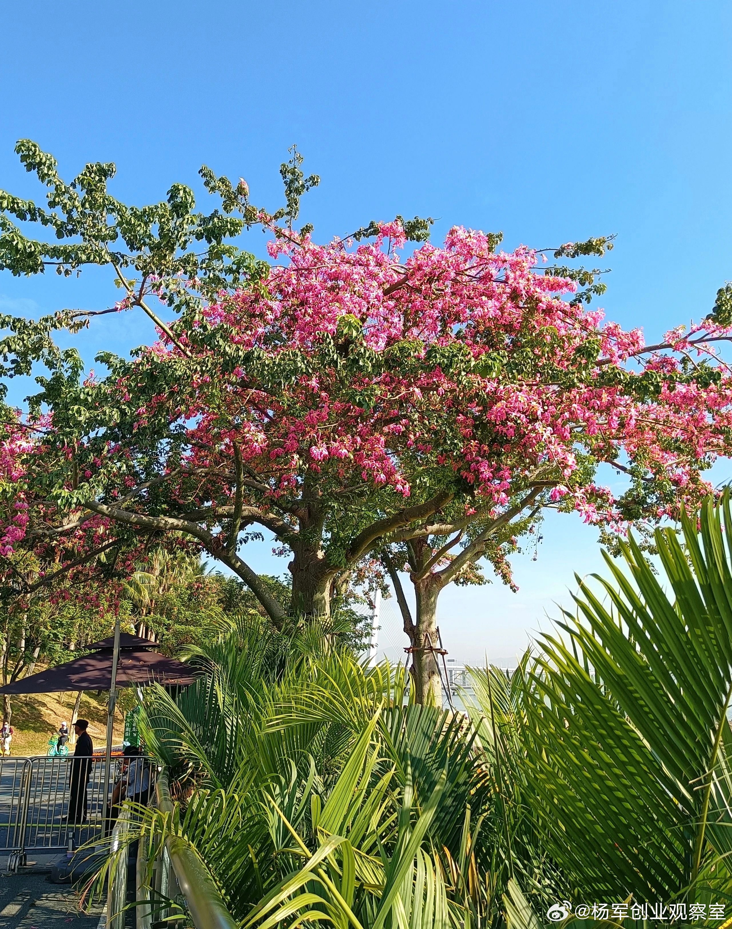 AI+财务尽调，从“侦探”到“先知”的进化近期我们团队研究的核心，正是AI如何重