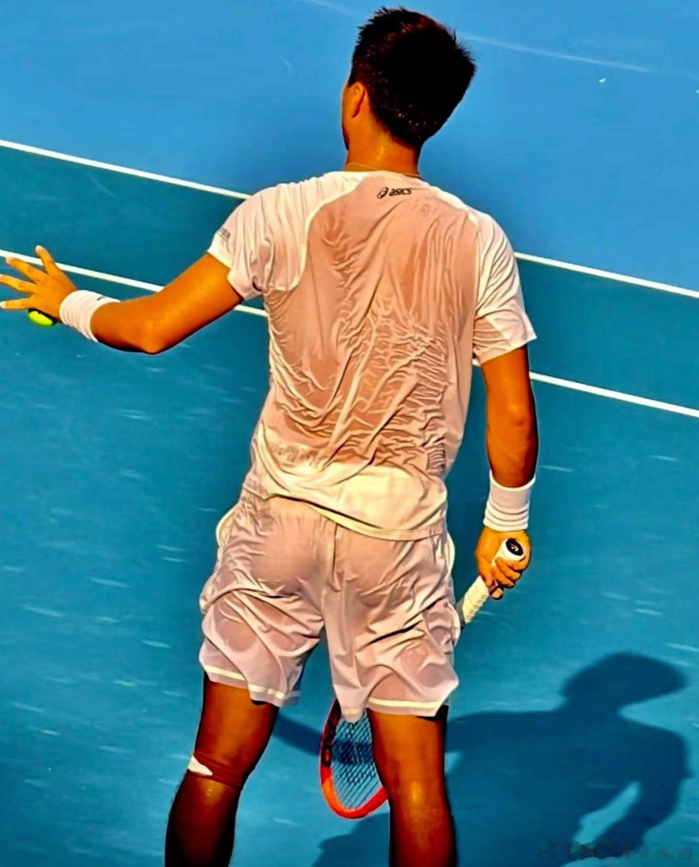 网球🎾 ​​​
