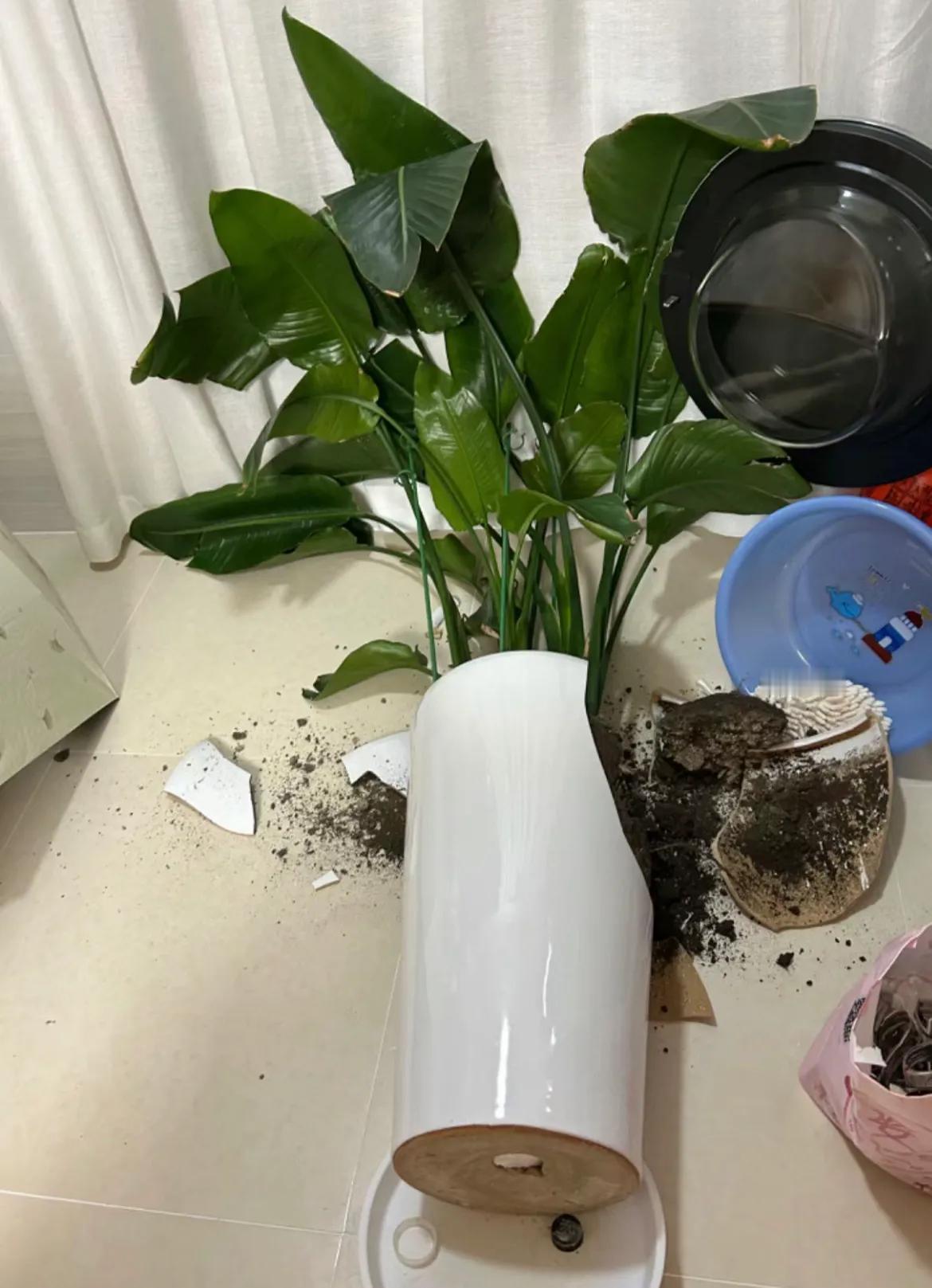 亲家之间就是不能多接触，前几天女儿的胳膊做了个手术，让我伺候几天，帮忙看着孩子，