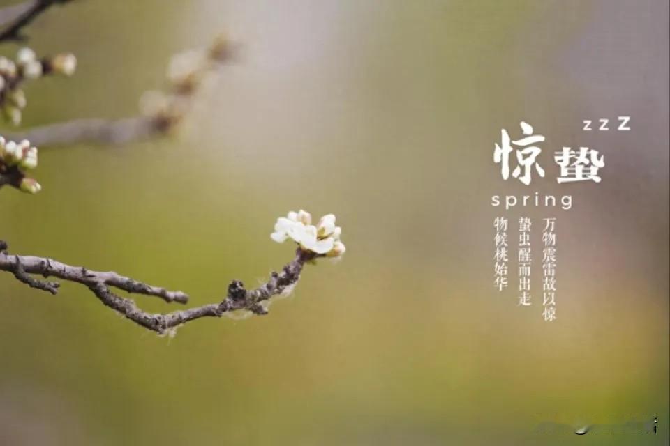 #今日惊蛰#时至惊蛰|惊蛰到，春光俏！
惊蛰已至，万物苏醒！你是否好奇惊蛰有哪些