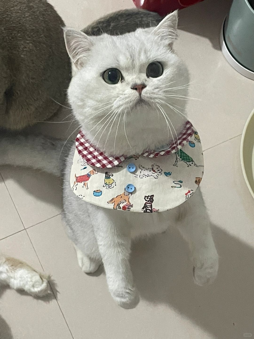 麻麻要拿我的毛毛干森么？！