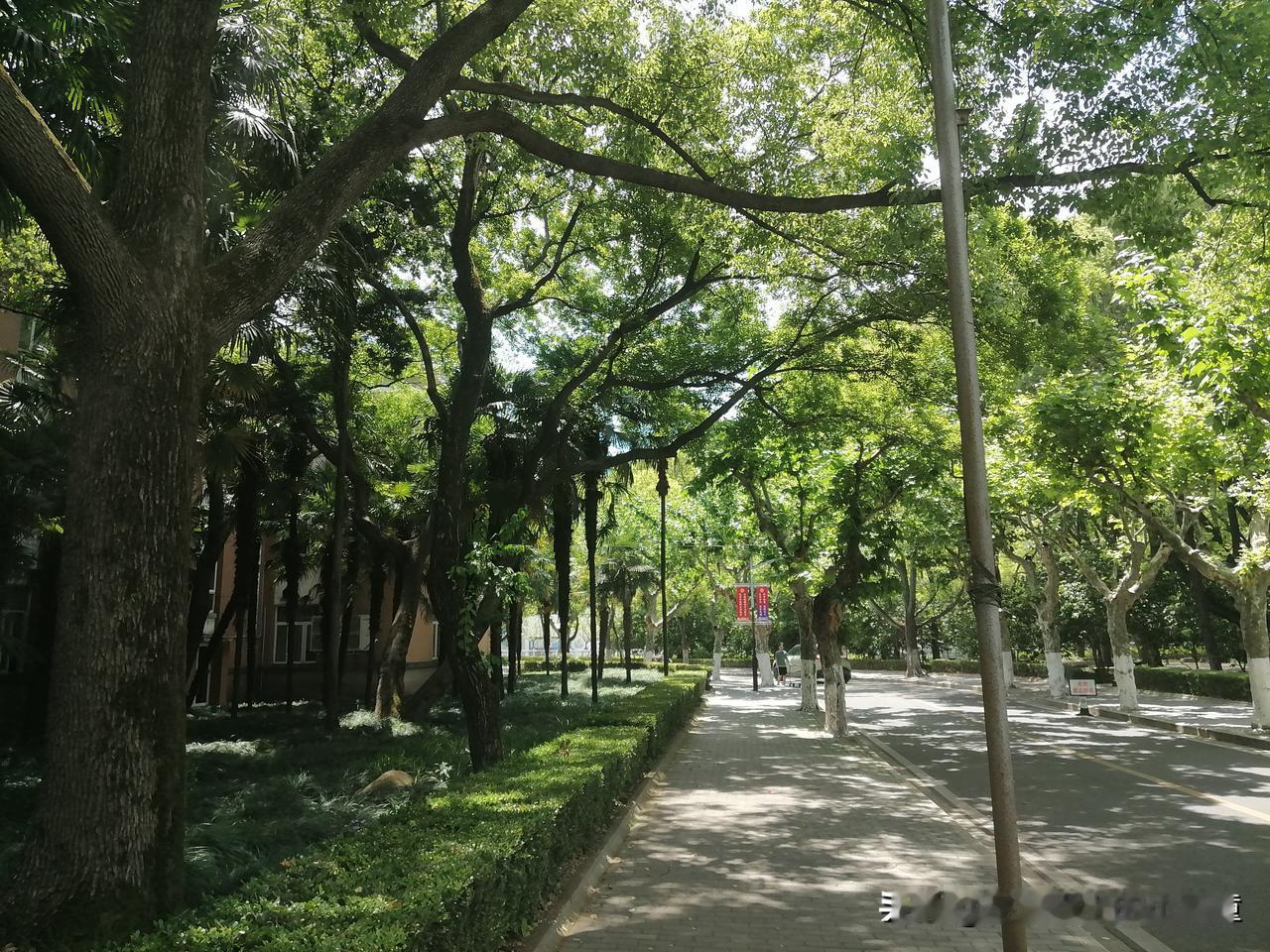 忍住“瞎折腾”的冲动：经济不确定期，稳字当头，规避风险大于一切
 
当下整体经济