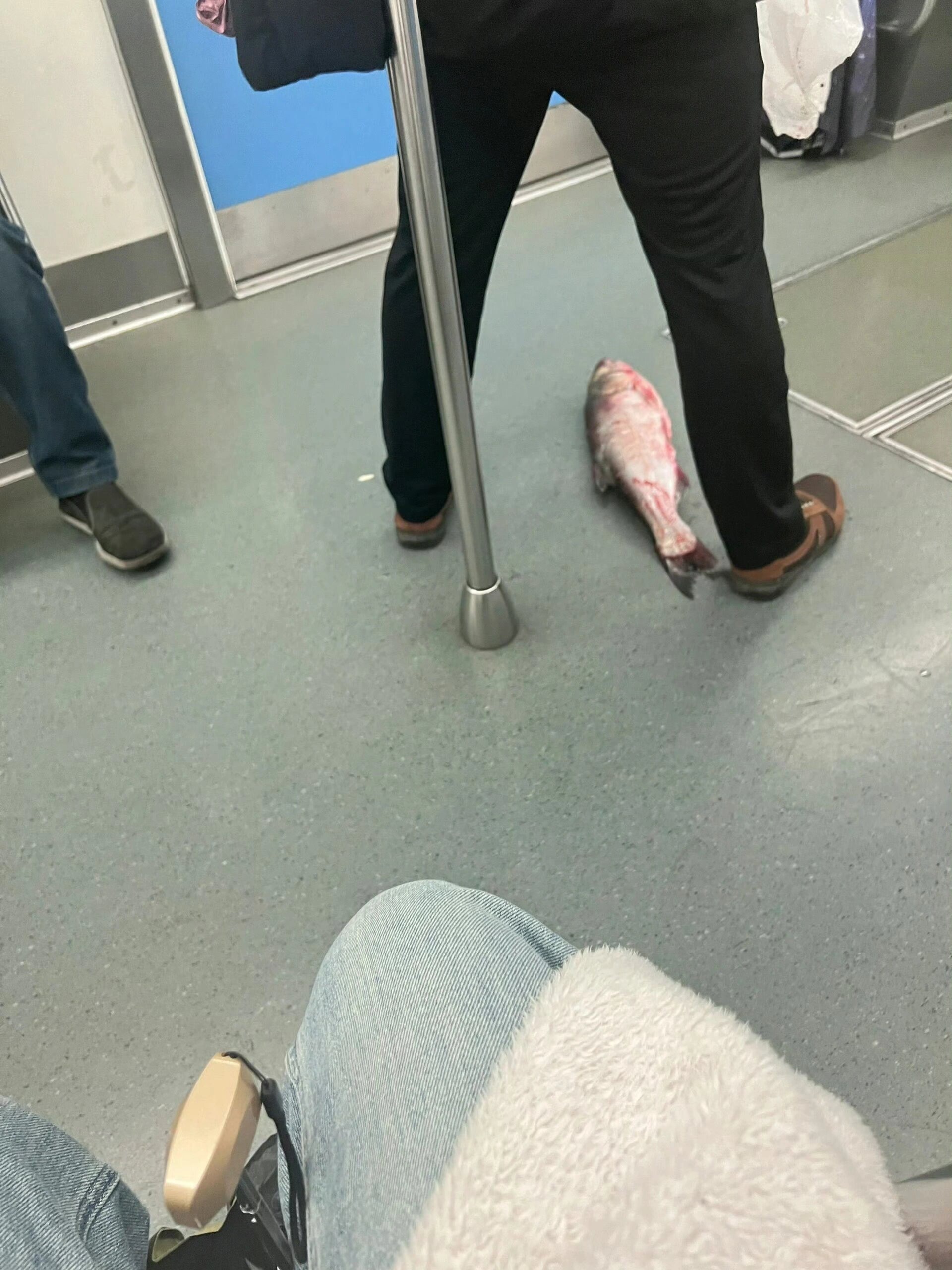 重庆地铁的包容度太高了吧[收到] ​​​