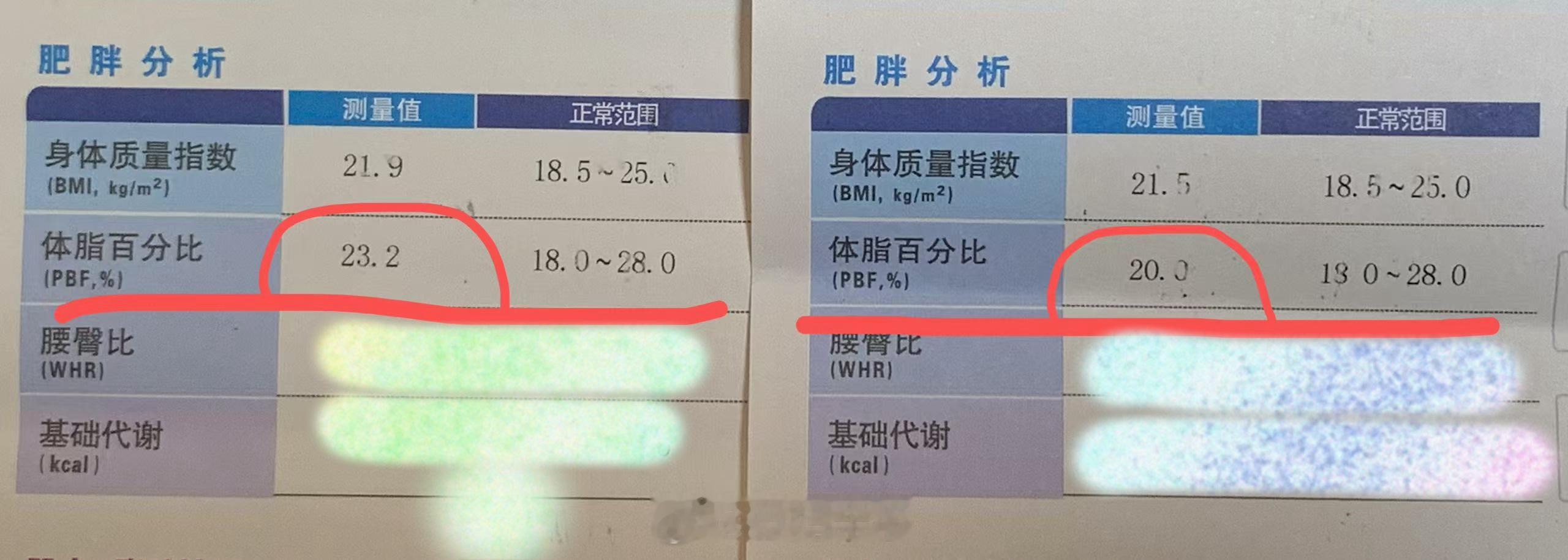 从3月到6月还没正式开始健身体脂率已经下降了是被我吓到了吗