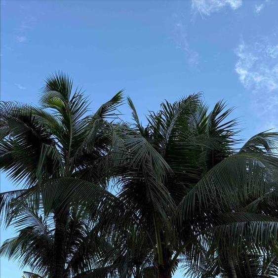 工学女博士、中科院博士后丛丽履新
 
11月27日，今年55岁丛丽博士履新。
 