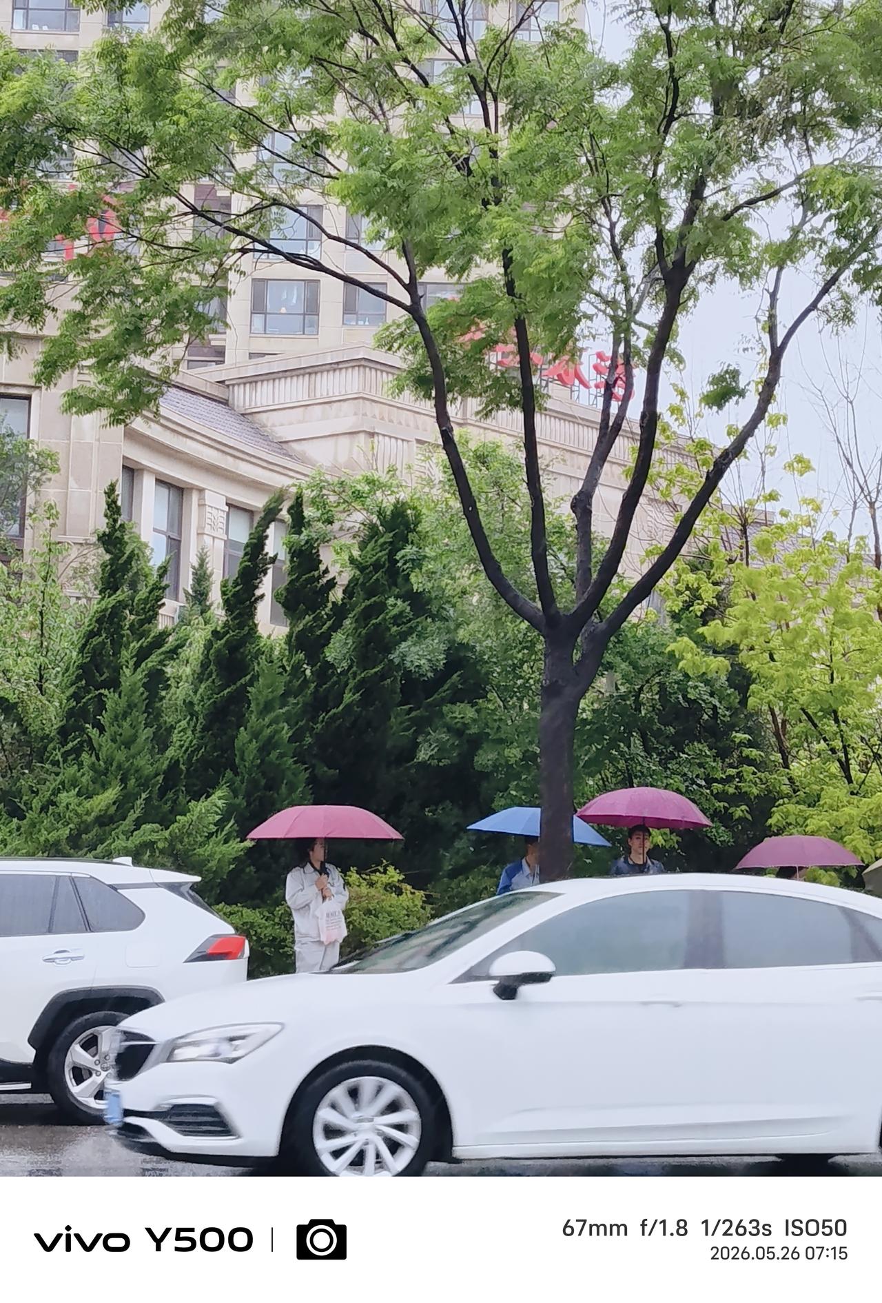 下雨天早晨，路边等车的人们，颜色不同的雨伞，仿佛都是等待小雨滋润的花和树。
