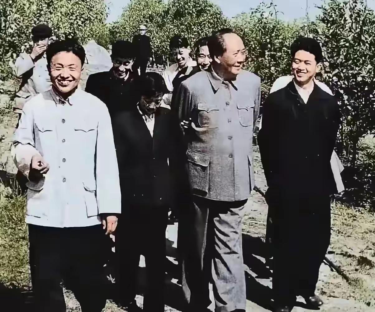 春迎接朋友，
花开盼丰年！