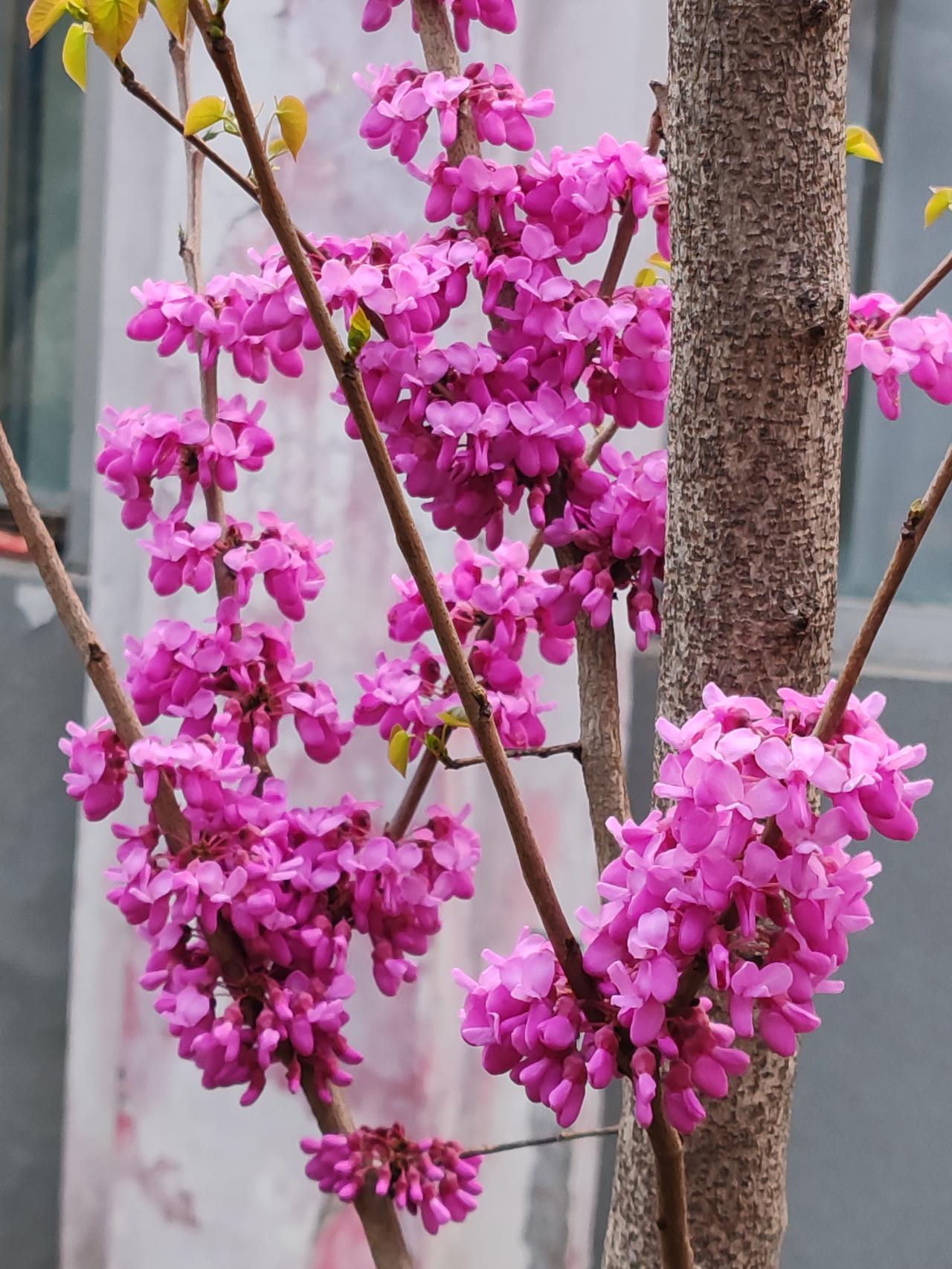 无论何时，往往都是先退休的人工资较低。虽说工资每年都在涨，可退休人员工资增长的比