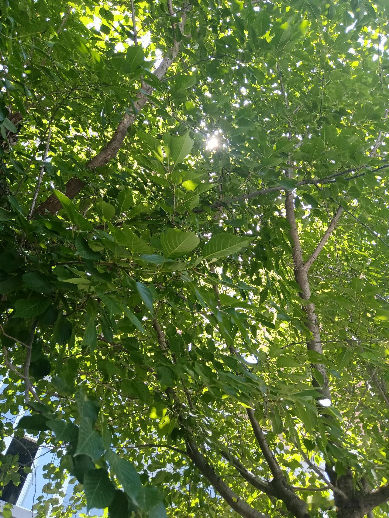 好消息！坏消息！

坏消息，是今天又亏了四五百块，提前收盘，不想看了！

指数小