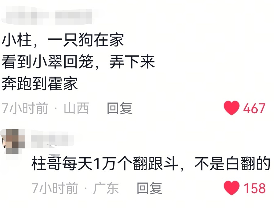 就说，小翠的笼子挂的这么高，在没有吴家人的帮助下小柱是怎么取下笼子带着小翠去霍家