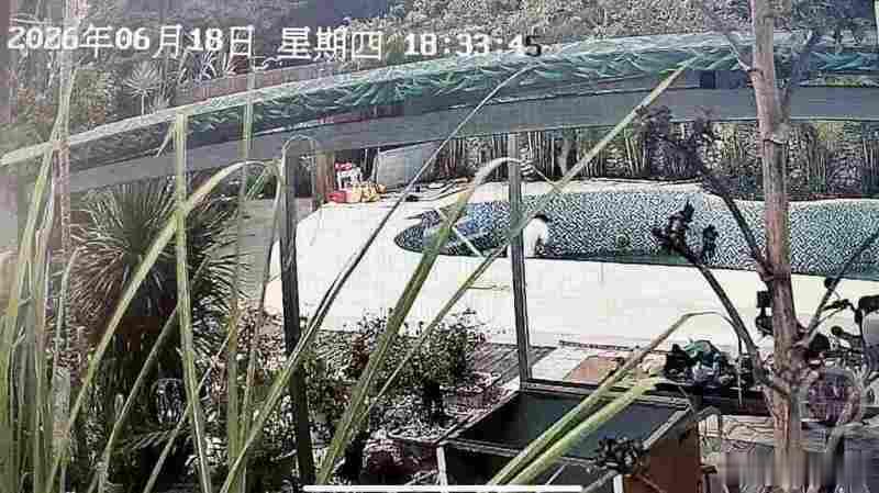 #男子洗泳池身亡劳动身份认定成焦点#【#投资方称与身亡男子系合作非雇佣#】37岁