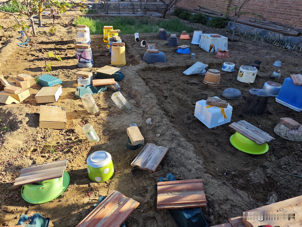 4月27日，老贺种菜日记，又是排兵布阵的一天！
坐标内蒙古和林格尔，今日气温1到