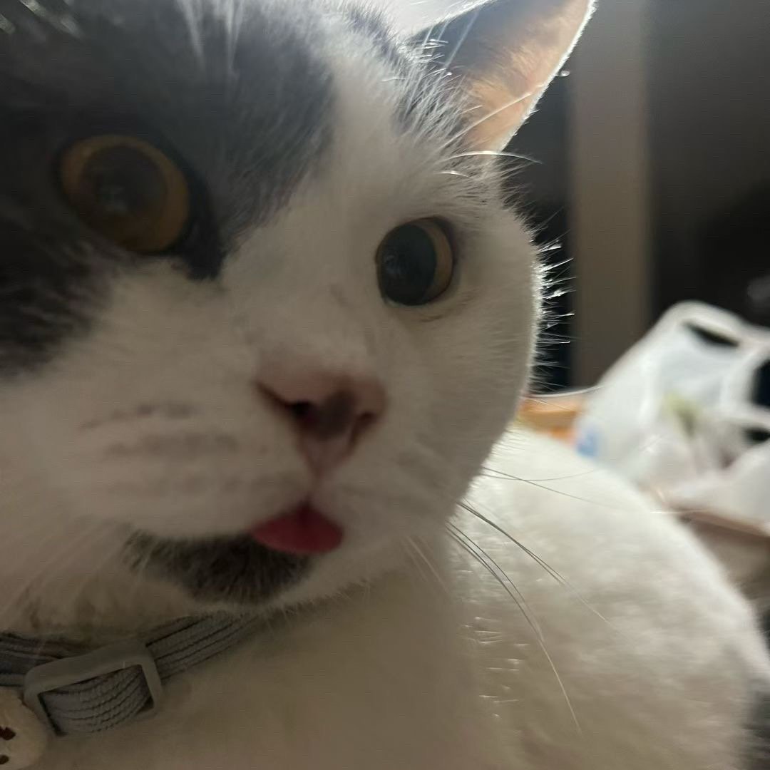 略略略略略略 