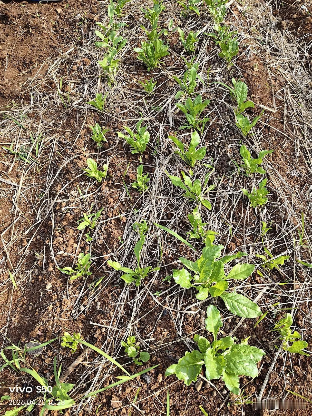 你适应退休生活了吗？
      最近，常听身边退休的朋友感慨：退休后离开工作岗
