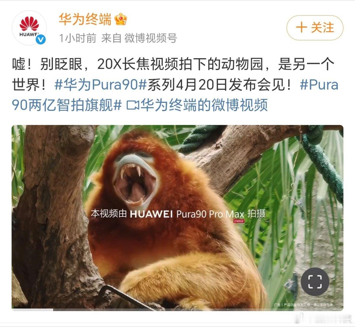 华为Pura90ProMax搭载2亿像素长焦 华为Pura 90系列影像升级曝光