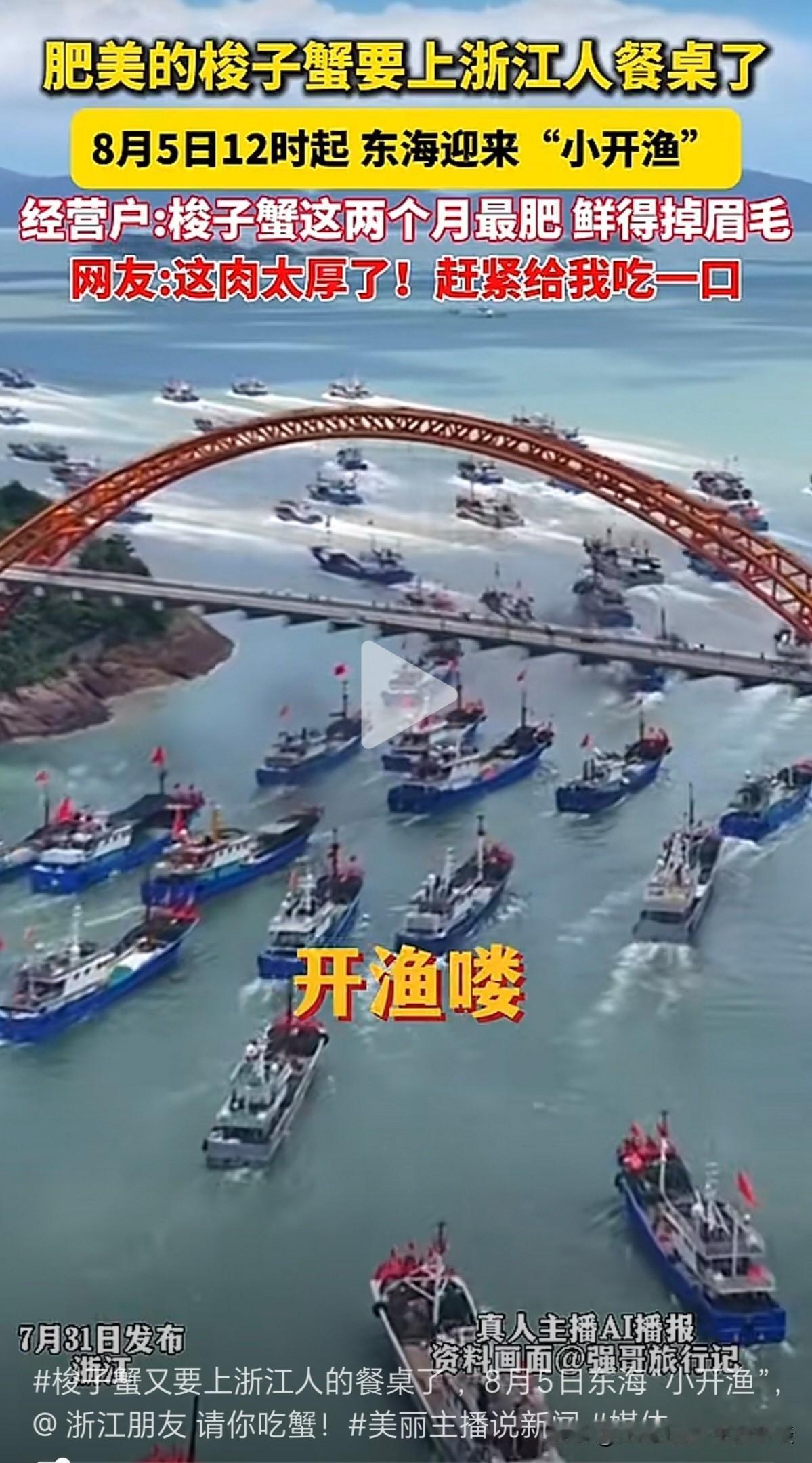 浙江人民再等五六天，新鲜的梭子蟹就要上市了。8月5日12时，东海小开渔即将到来。