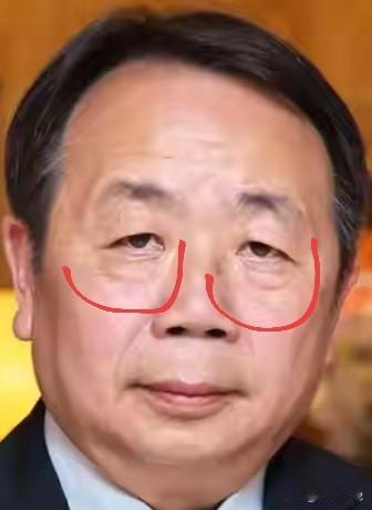 看眼睛就不像一个好人啊，长的就像一个奸臣。