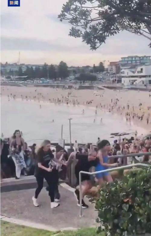 邦迪海滩的子弹与水果摊主的手：当“父子档”杀手遇上“好莱坞”英雄

碧海蓝天的人