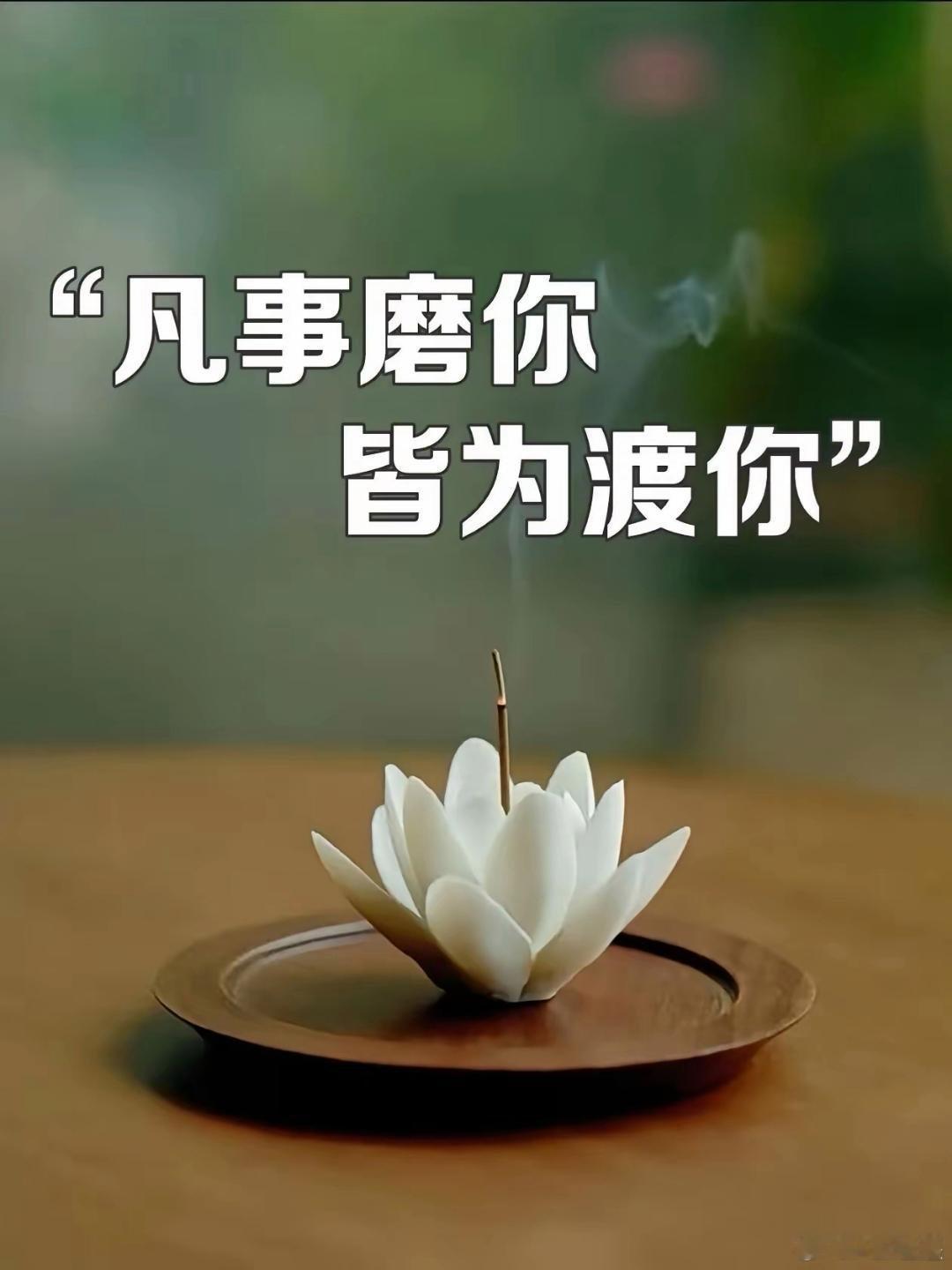 【
