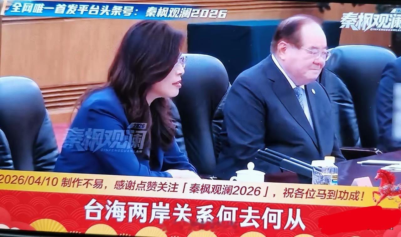 刚刚看了她在大会议室的讲话，比较满意。远比连、马的讲话更有实质内容，理念更进步、