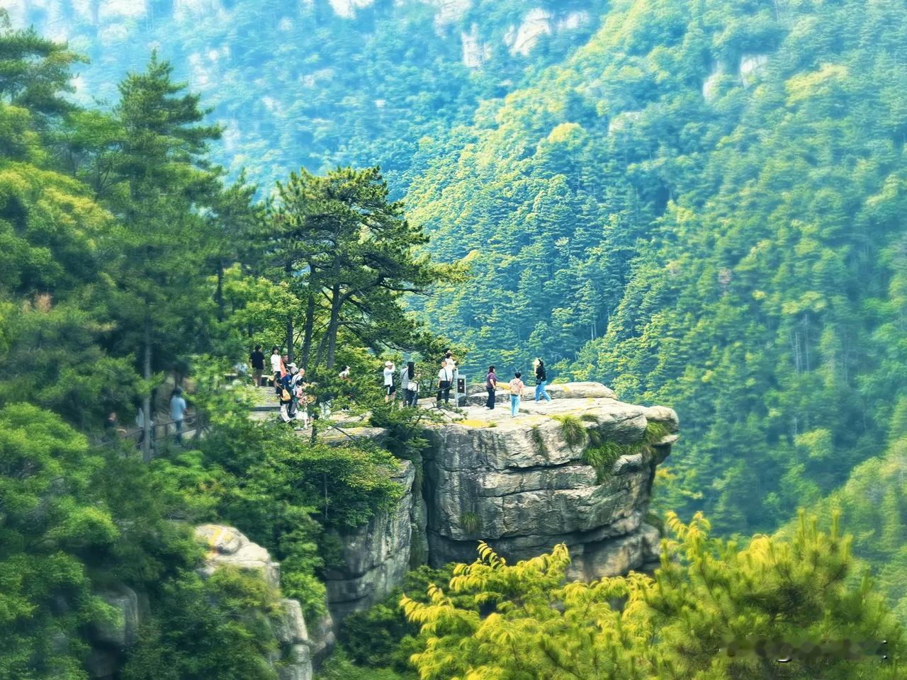 【诗图】再上庐山
旧屐重登五老峰，岚光洗目意千重。
松涛怒卷云开处，始信人间有胜