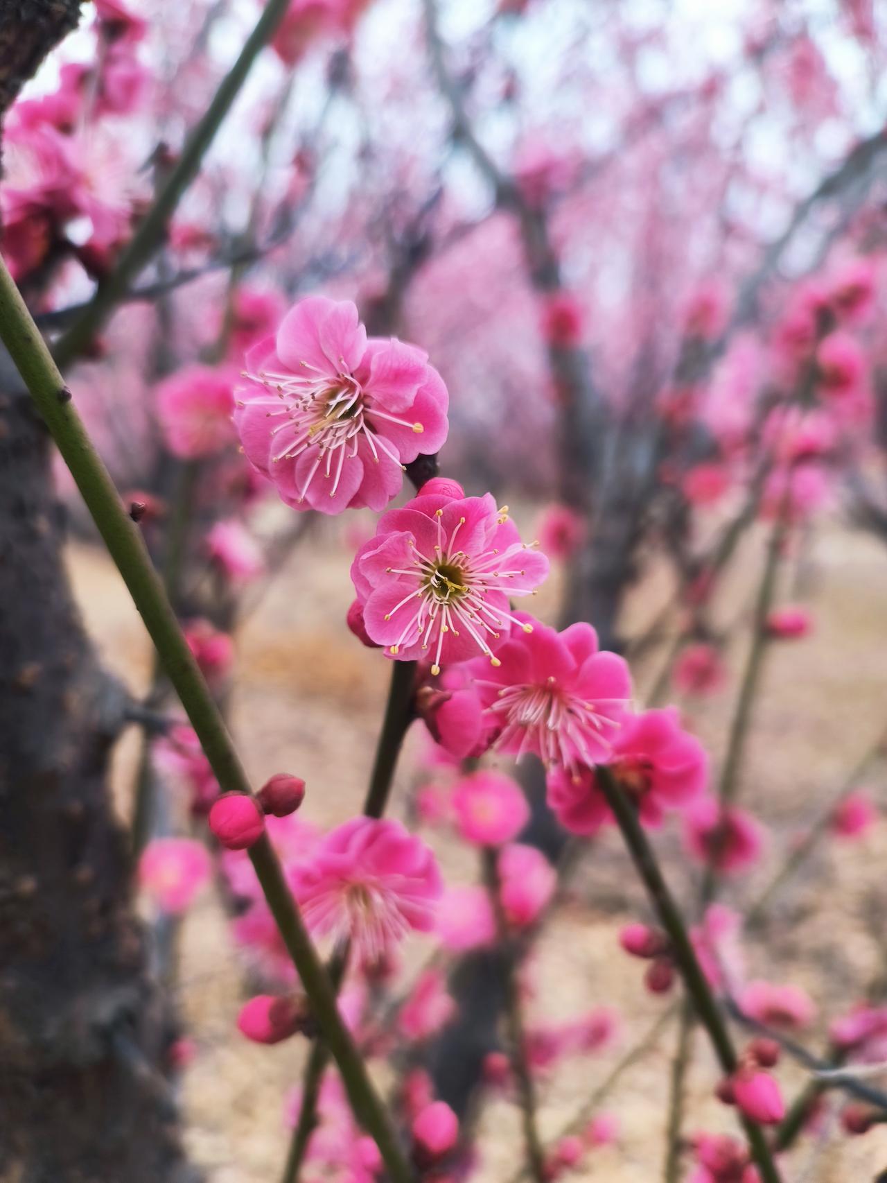 对一名教师来说，作业备课检查，你说有用就有用，你说没用就没用。

很多老师很反感
