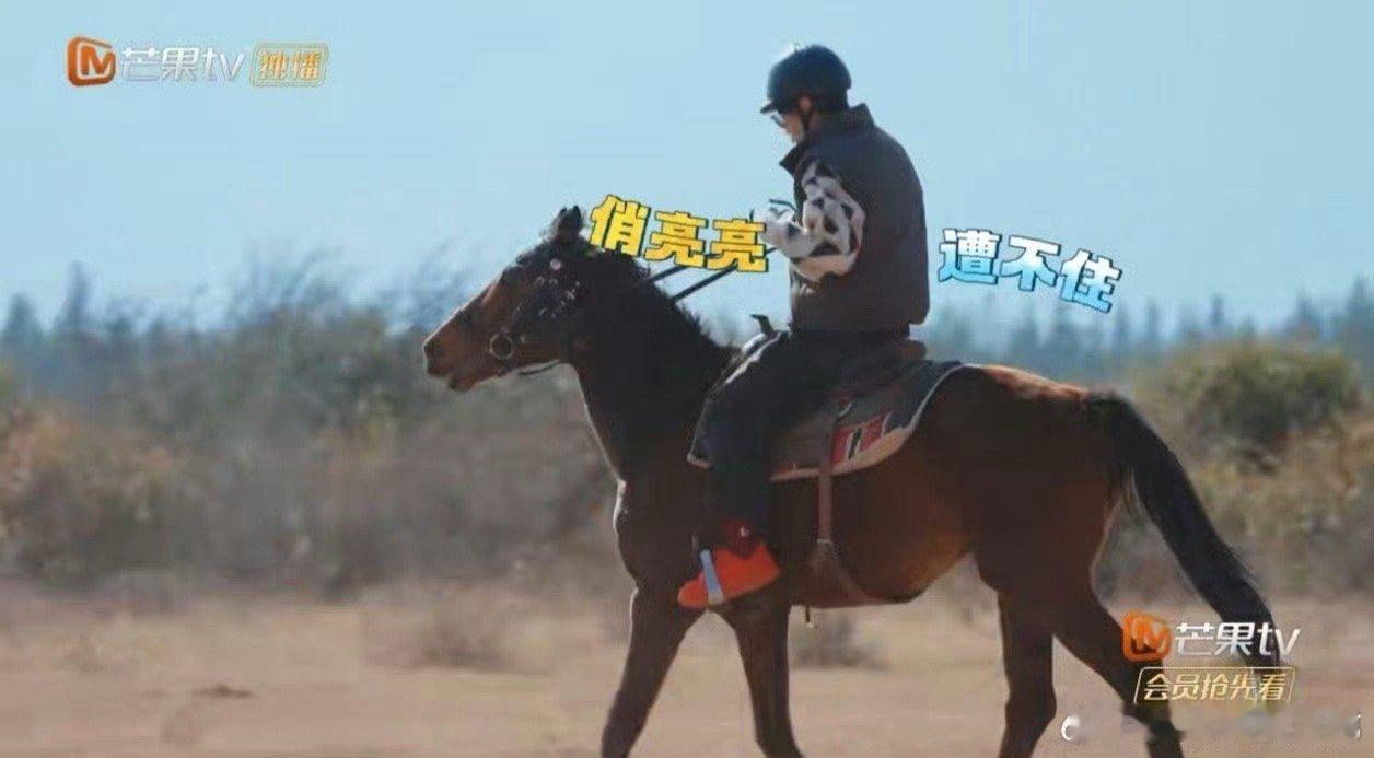 王铮亮一款实用型体制内歌手快乐老友记快乐老友有风季不吵不闹，默默靠谱，王铮亮这款