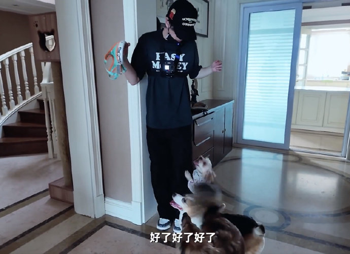 严浩翔一人遛三只狗严浩翔的一些治愈时光 严浩翔一人遛三只狗的治愈时光来啦，谁懂这