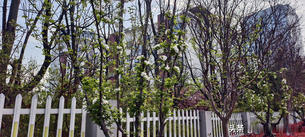 祸从口出｜职场里“会说话”的人，活得有多爽？

你有没有因为一句话，得罪过同事、