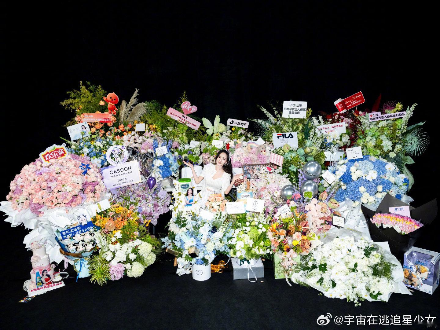 杨幂晒生日花束杨幂晒与生日花束合照 哇塞好多花！ ​ ​​​