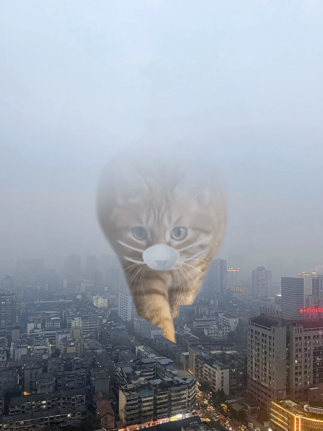 对方撤回了一只大海
